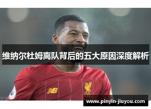 维纳尔杜姆离队背后的五大原因深度解析