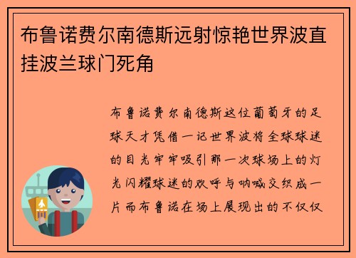 布鲁诺费尔南德斯远射惊艳世界波直挂波兰球门死角
