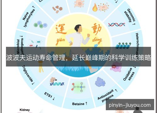 波波夫运动寿命管理，延长巅峰期的科学训练策略
